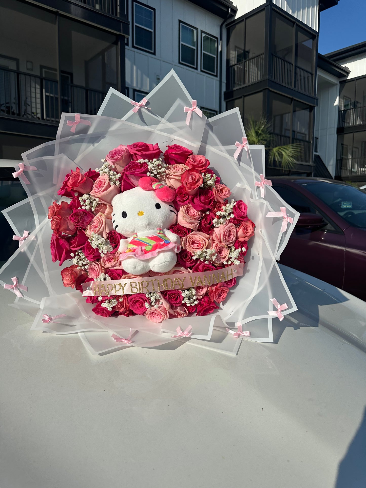 Hello Kitty Plush🎀🫧 50 roses
